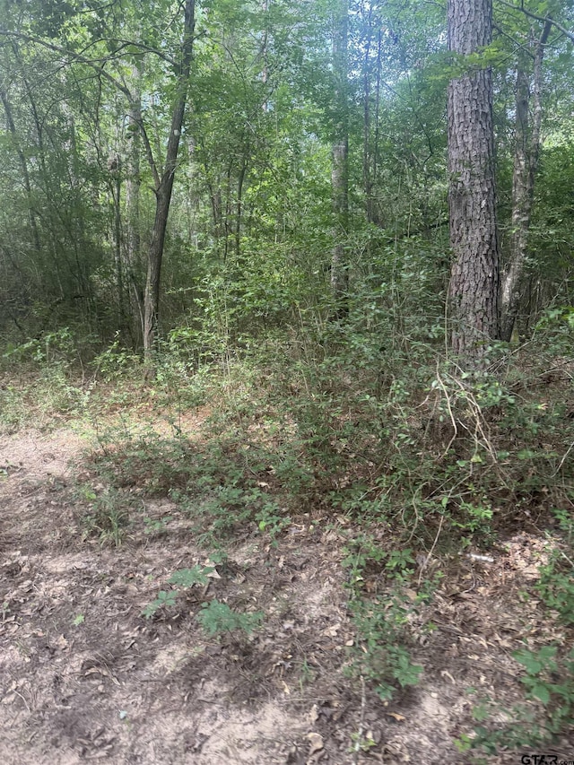 TBD Cr 2126, Rusk, TX 75785 - photo 19