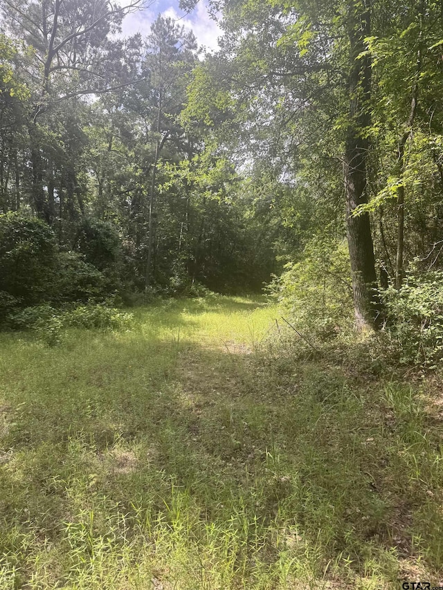TBD Cr 2126, Rusk, TX 75785 - photo 12