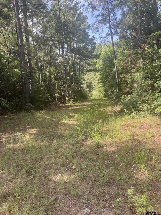 TBD Cr 2126, Rusk, TX 75785 - photo 10