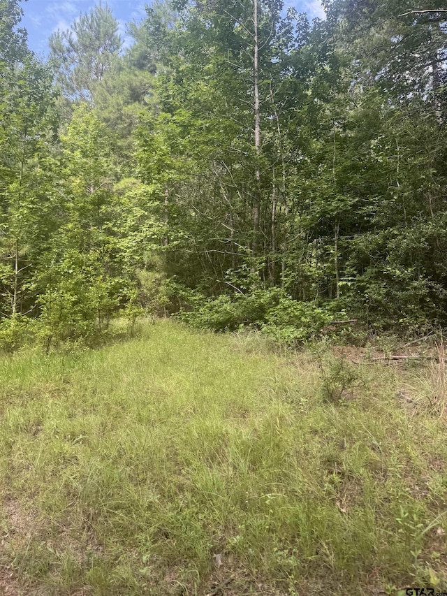 TBD Cr 2126, Rusk, TX 75785 - photo 27