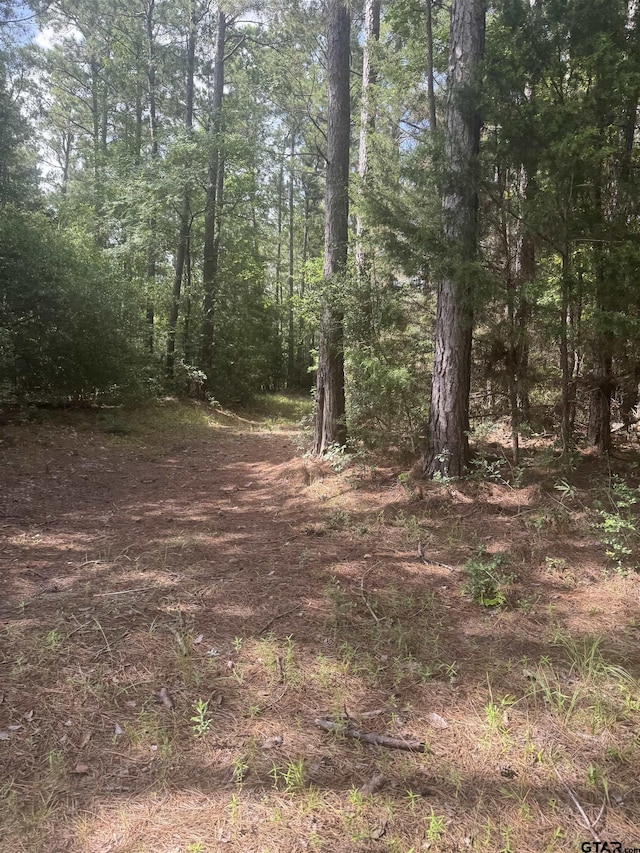 TBD Cr 2126, Rusk, TX 75785 - photo 13
