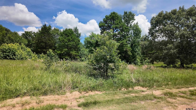 TBD County Road 2325, Mount Pleasant, TX 75455 - photo 3