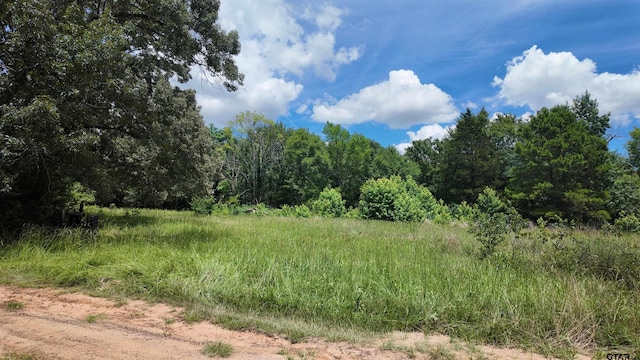TBD County Road 2325, Mount Pleasant, TX 75455 - photo 4