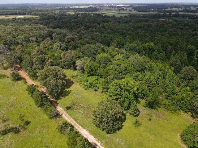 TBD County Road 2325, Mount Pleasant, TX 75455 - photo 5
