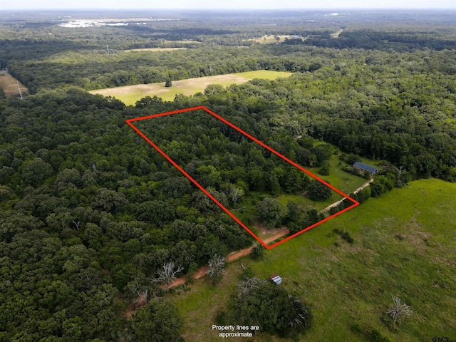TBD County Road 2325, Mount Pleasant, TX 75455 - photo 1