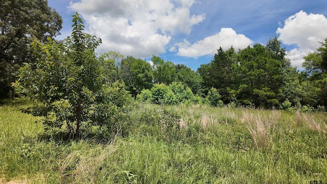 TBD County Road 2325, Mount Pleasant, TX 75455 - photo 2