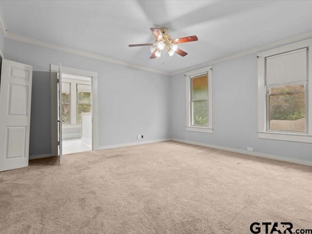 carpeted empty room featuring ornamental molding and ceiling fan