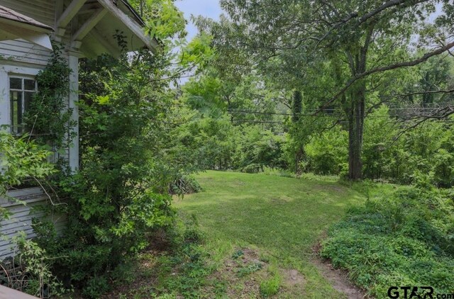 501 Spring, Grand Saline, TX 75140 - photo 22