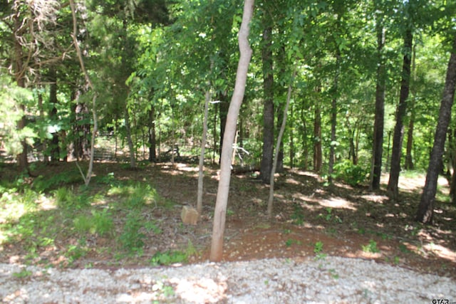 690 Royal Dr, Bullard, TX 75757 - view of landscape
