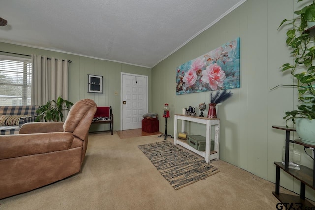 living area featuring a textured ceiling, ornamental molding, and carpet flooring