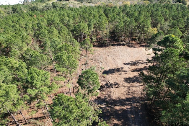TBD-A Highway 84, Mount Enterprise, TX 75681 - photo 6