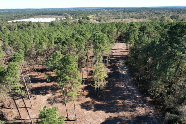 TBD-A Highway 84, Mount Enterprise, TX 75681 - photo 5
