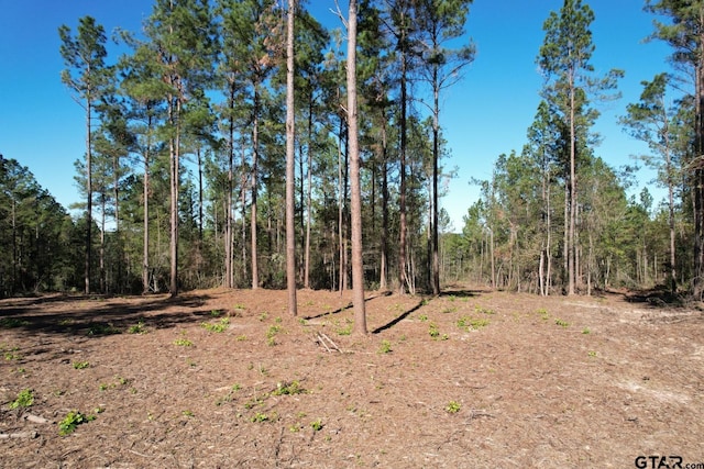 TBD-A Highway 84, Mount Enterprise, TX 75681 - photo 10