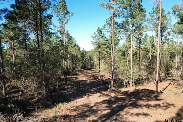 TBD-A Highway 84, Mount Enterprise, TX 75681 - photo 2