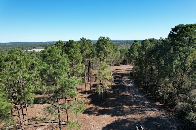 TBD-A Highway 84, Mount Enterprise, TX 75681 - photo 4