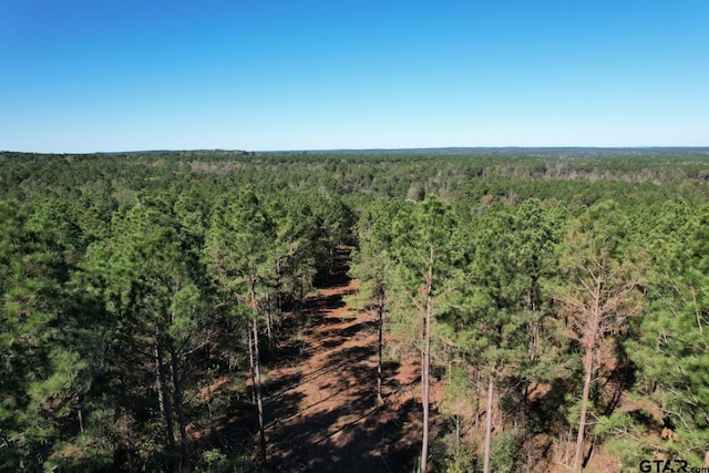 TBD-A Highway 84, Mount Enterprise, TX 75681 - photo 3