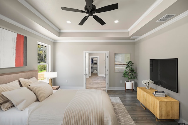 bedroom with a walk in closet, dark hardwood / wood-style flooring, ornamental molding, a raised ceiling, and ceiling fan