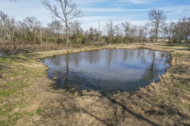 view of water feature