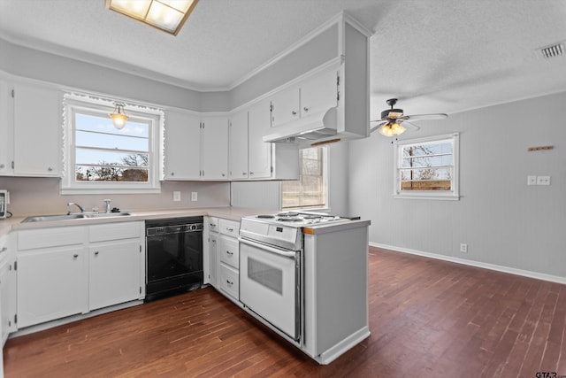 kitchen with under cabinet range hood, dark wood-type flooring, a sink, black dishwasher, and electric stove