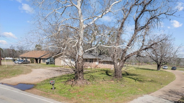 view of front of house with a front yard and dirt driveway