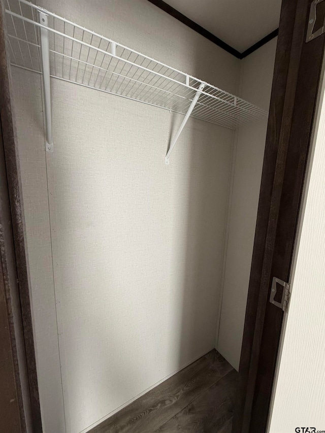 walk in closet featuring dark hardwood / wood-style flooring