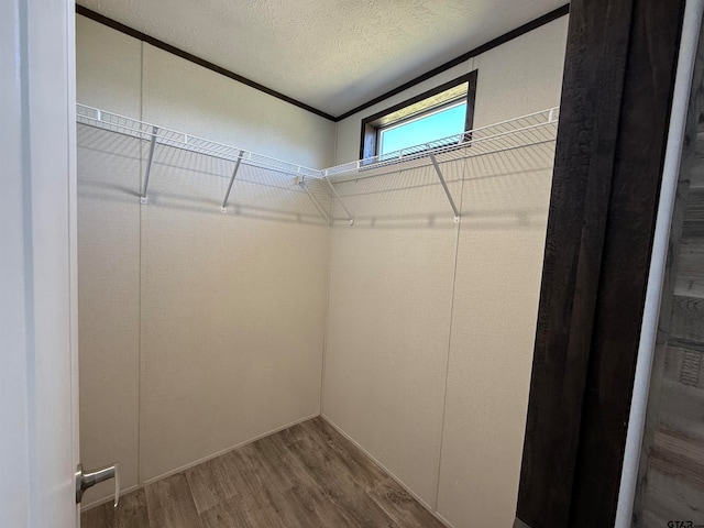 spacious closet featuring hardwood / wood-style flooring