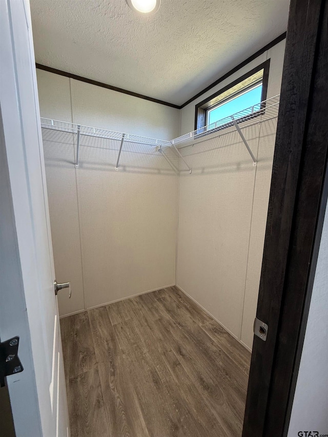 spacious closet with hardwood / wood-style flooring