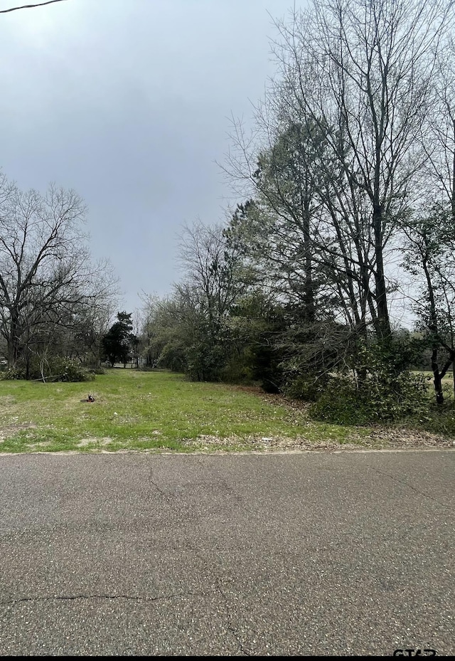 708 E Elm, Winnsboro, TX 75494