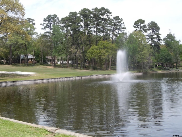 250 Autumn Wood Trl, Holly Lake Ranch, TX 75765 - water view featuring a tree filled landscape