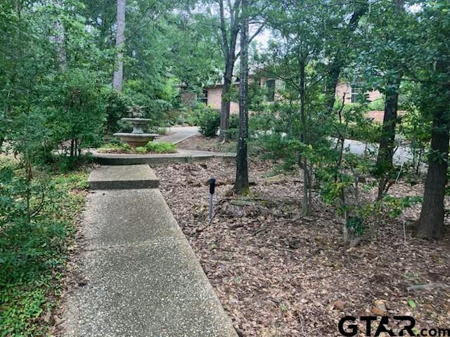 1201 Lakecross Rd, Hideaway, TX 75771 - photo 3