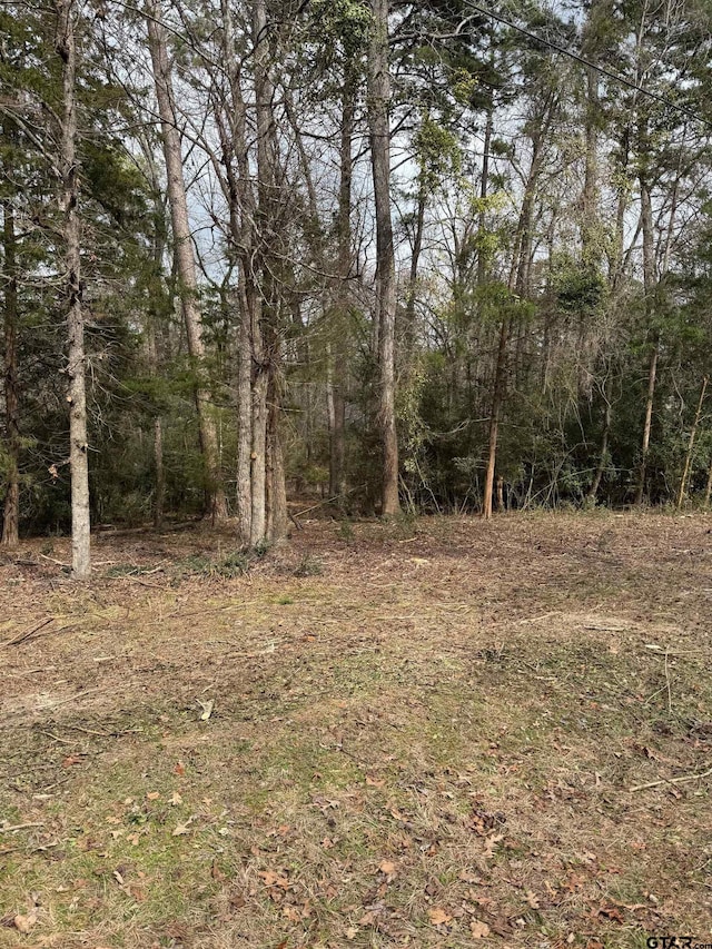 LOTS316 Brazos Bnd, Holly Lake Ranch, TX 75765