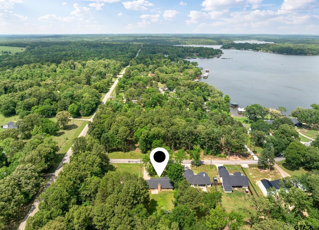 16780 Wilson Rd, Tyler, TX 75707 - bird's eye view with a water view and a forest view