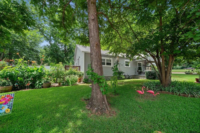 118 W Carolina St, Palestine, TX 75801 - photo 3