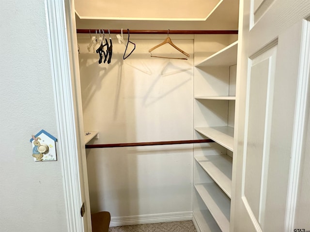 view of spacious closet