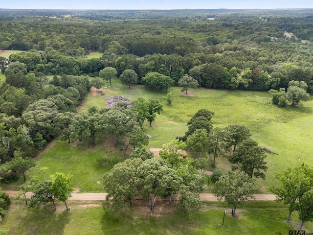 302 Vz County Road 4825, Ben Wheeler, TX 75754 - photo 27