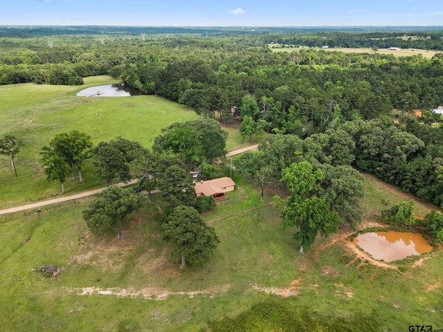 302 Vz County Road 4825, Ben Wheeler, TX 75754 - photo 2