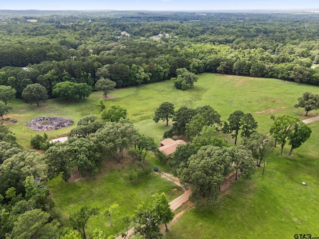 302 Vz County Road 4825, Ben Wheeler, TX 75754 - photo 28