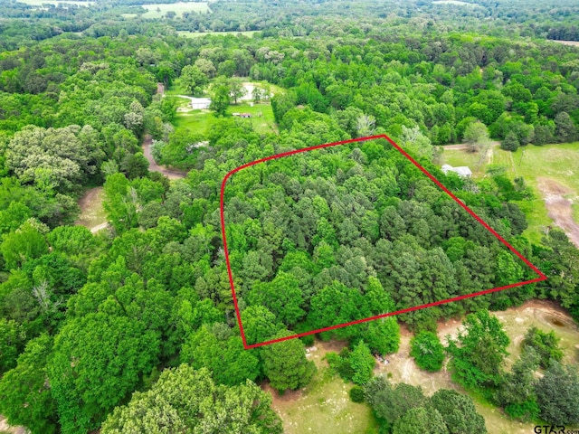 TBD Giraffe Road, Gilmer, TX 75644 - photo 2