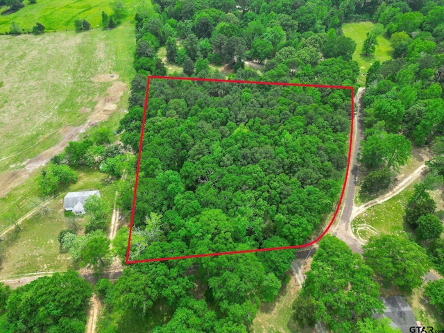 TBD Giraffe Road, Gilmer, TX 75644 - photo 5