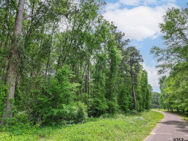 TBD Giraffe Road, Gilmer, TX 75644 - photo 6