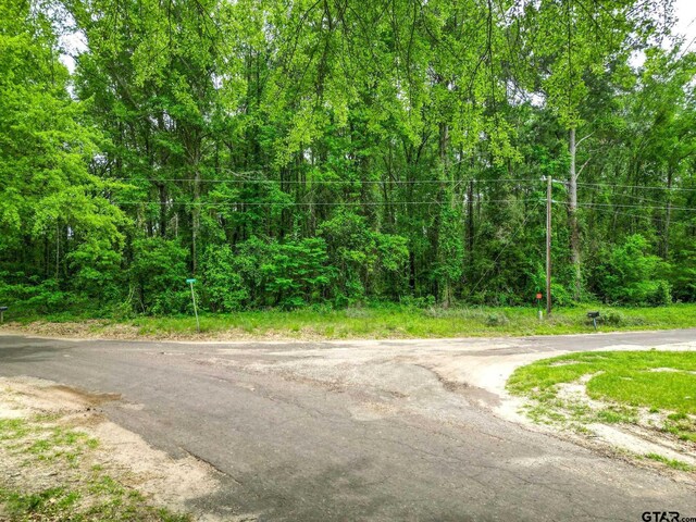 TBD Giraffe Road, Gilmer, TX 75644 - photo 7