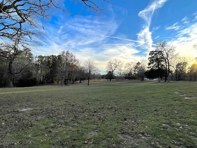 view of yard at dusk