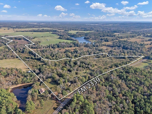 2640 Fm 2339, Ben Wheeler TX, 75754 land for sale