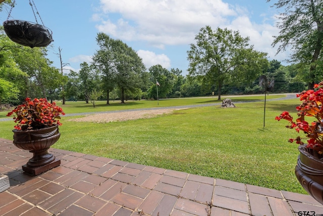 519 E E Wl Doc Dodson Ave, Naples, TX 75568 - photo 30