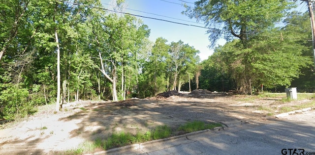 Listing photo 2 for W Henderson St, Overton TX 75684