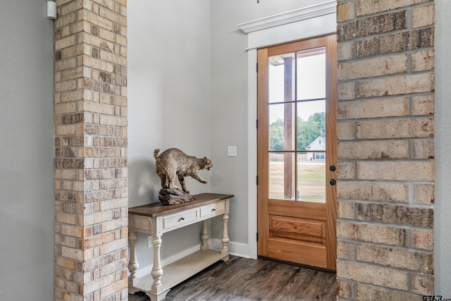 doorway with dark hardwood / wood-style flooring