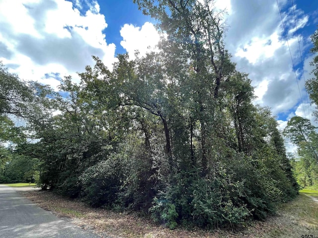 TBD Starleaf Ln, Holly Lake Ranch, TX 75765 - photo 2