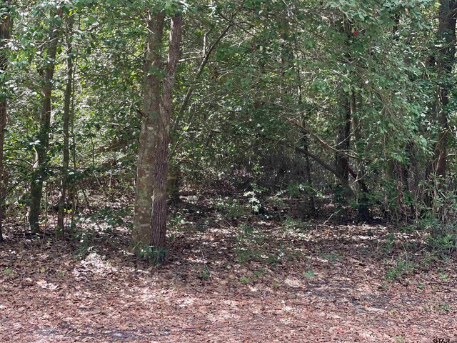 TBD Starleaf Ln, Holly Lake Ranch, TX 75765 - photo 6