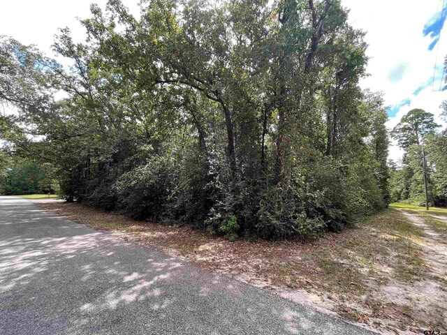 TBD Starleaf Ln, Holly Lake Ranch, TX 75765 - photo 3