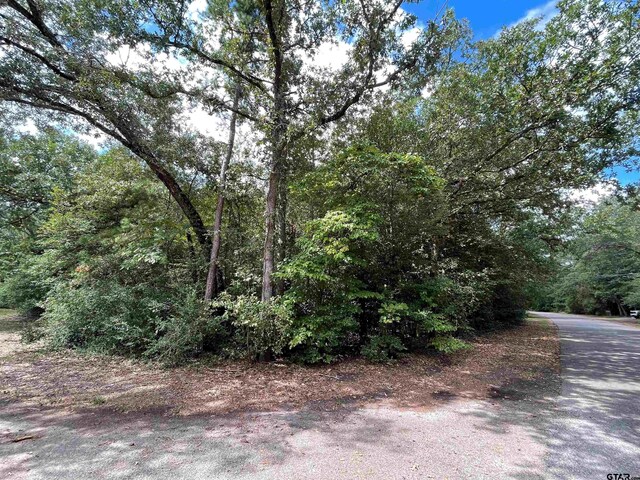 TBD Starleaf Ln, Holly Lake Ranch, TX 75765 - photo 4